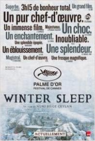 Winter sleep