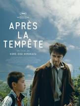 Après la tempête : Affiche