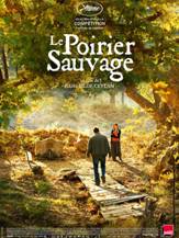 Le Poirier sauvage : Affiche